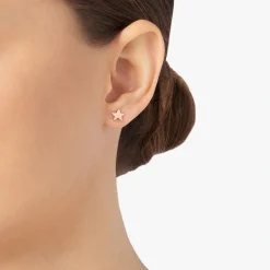 DHB9006 STARX 0009R 100 Dodo star earring 9k rose gold small model half pair